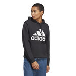 adidas Big Logo Hoody